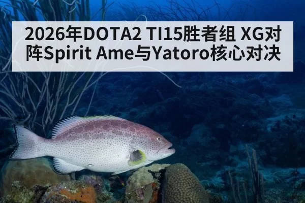 2026年DOTA2 TI15胜者组 XG对阵Spirit Ame与Yatoro核心对决